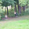 Kids playing on the new tire swing